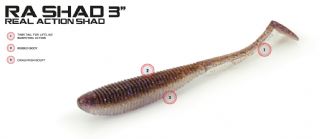 Molix RA Shad 3 Inch Lures - 